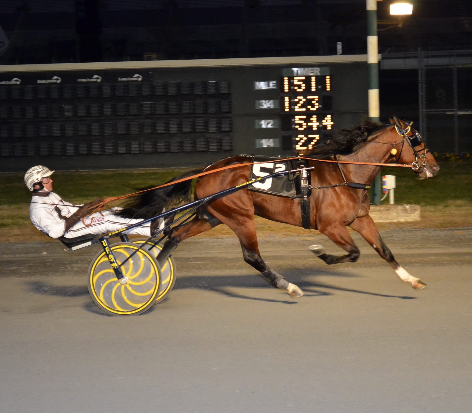 New inductees to Living Horse Hall of Fame announced